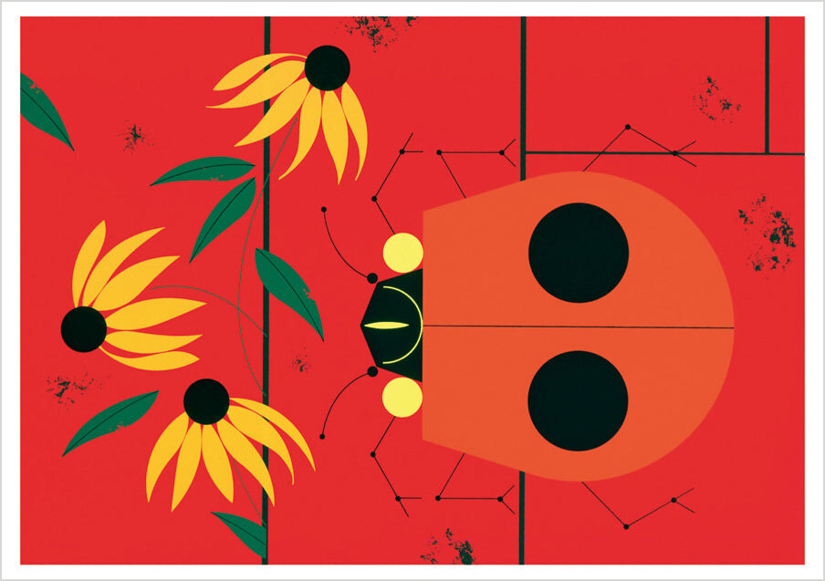 Charley Harper Ladybugs Notecards
