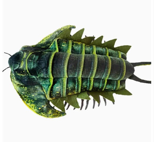 Trilobite Plush