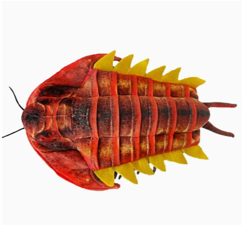 Trilobite Plush