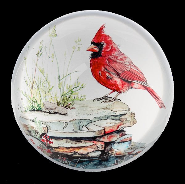 Watercolor Cardinal Paperweight