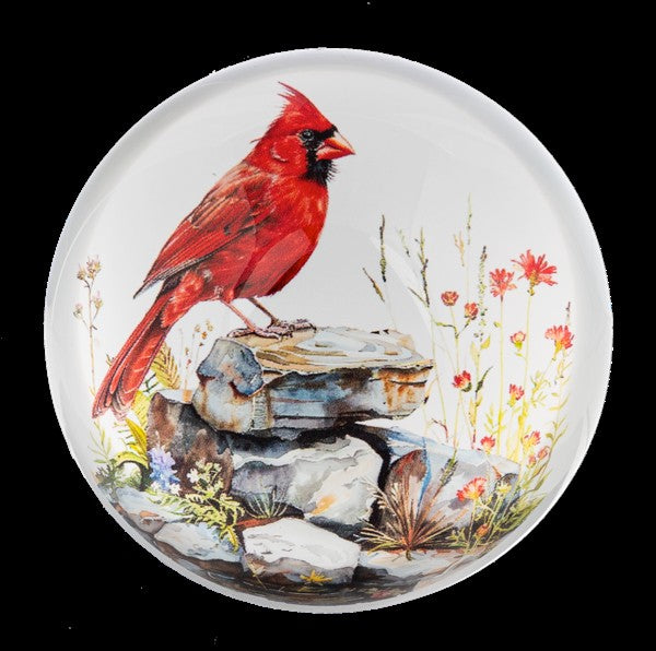 Watercolor Cardinal Paperweight