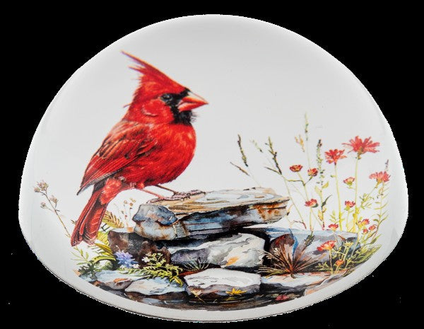 Watercolor Cardinal Paperweight