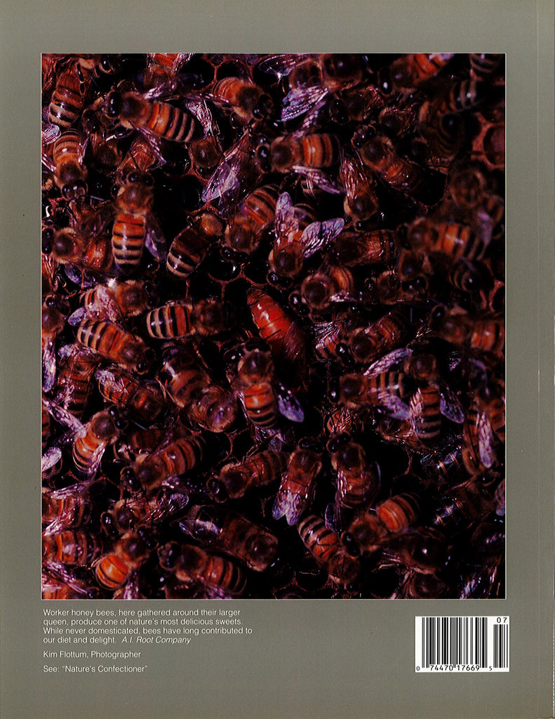 1993 July/August Timeline Magazine