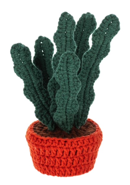 Knit Succulents