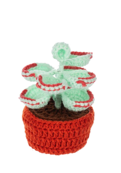 Knit Succulents