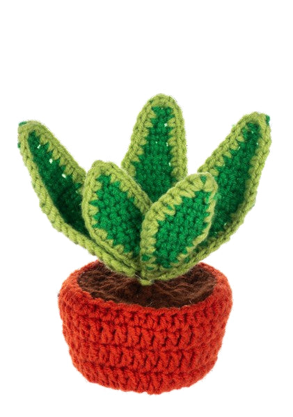 Knit Succulents