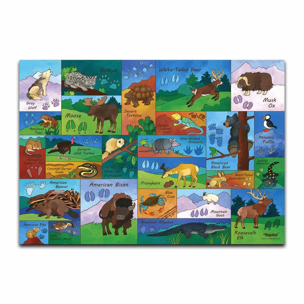 Animal Tracks Puzzle